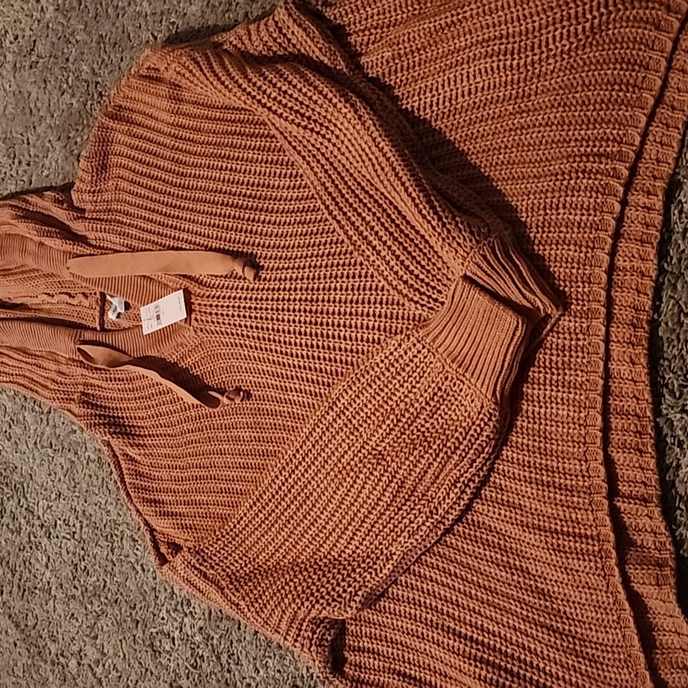American Eagle hooded sweater